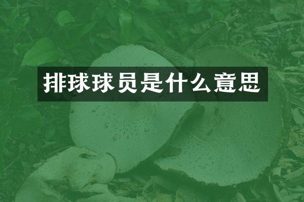 排球球员是什么意思