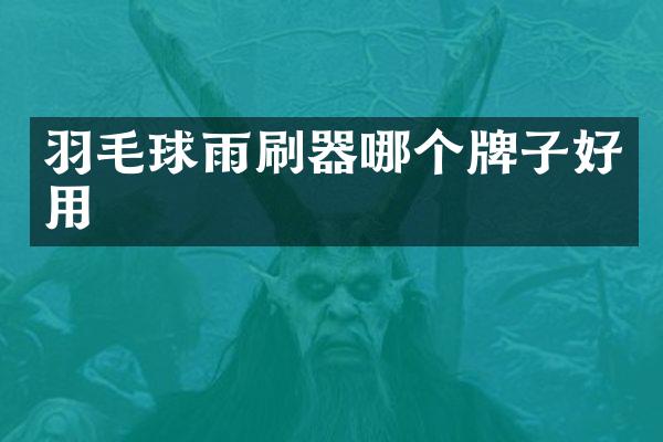 羽毛球雨刷器哪个牌子好用