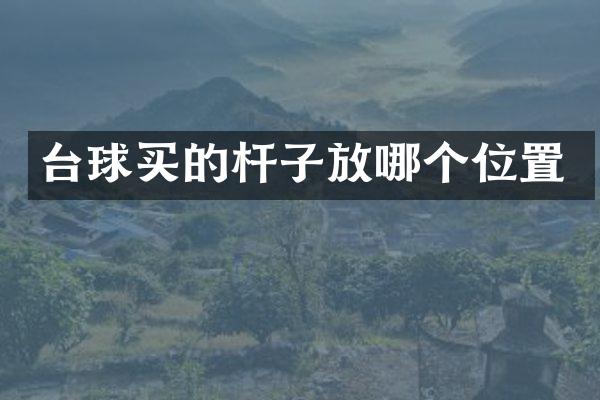 台球买的杆子放哪个位置
