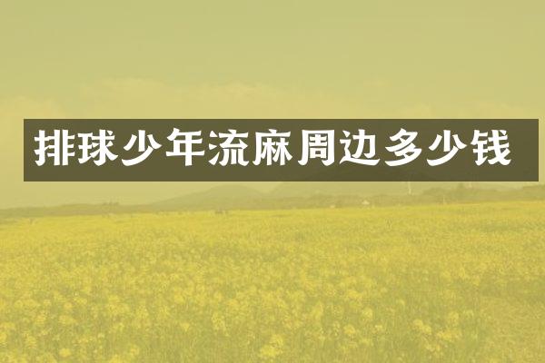 排球少年流麻周边多少钱
