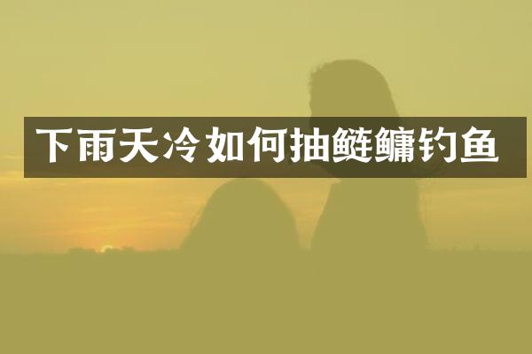 下雨天冷如何抽鲢鳙钓鱼