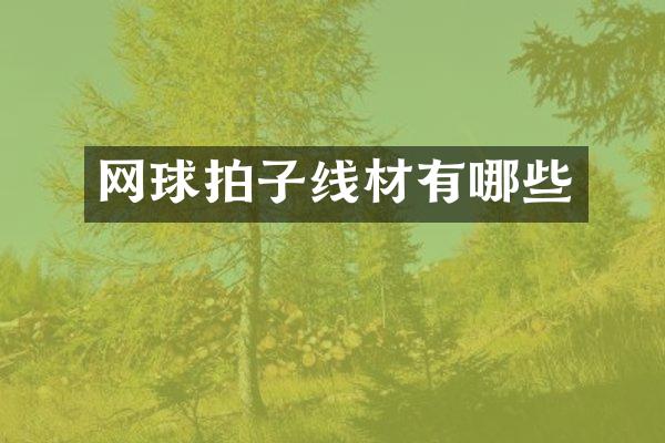 网球拍子线材有哪些