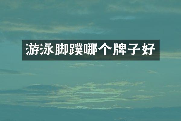 游泳脚蹼哪个牌子好