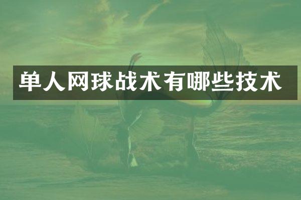 单人网球战术有哪些技术