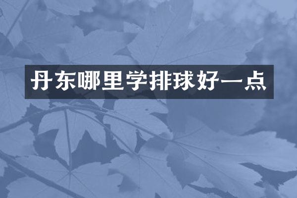 丹东哪里学排球好一点