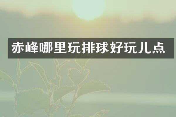 赤峰哪里玩排球好玩儿点
