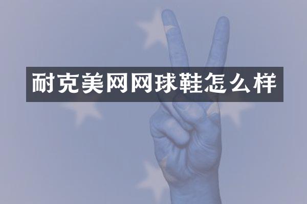 耐克美网网球鞋怎么样