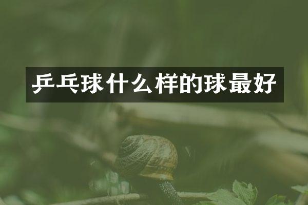 乒乓球什么样的球最好