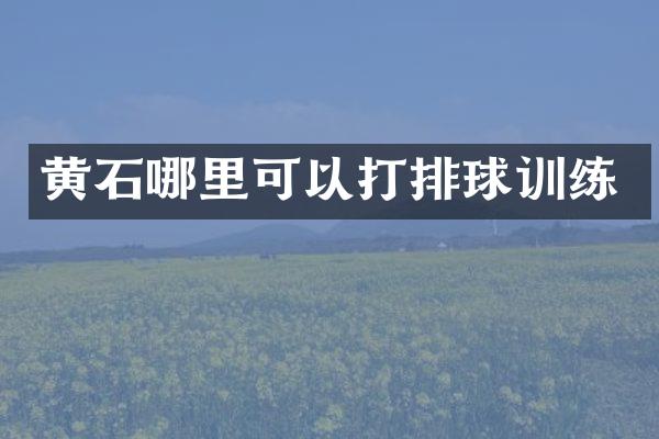 黄石哪里可以打排球训练