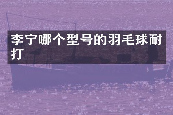 李宁哪个型号的羽毛球耐打