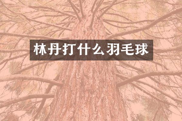 林丹打什么羽毛球