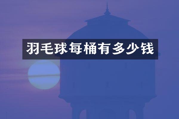 羽毛球每桶有多少钱