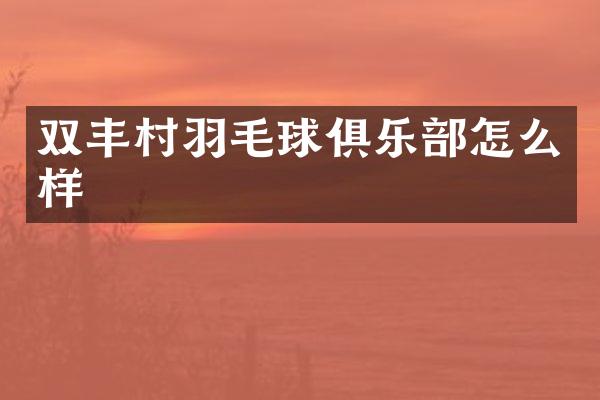 双丰村羽毛球俱乐部怎么样