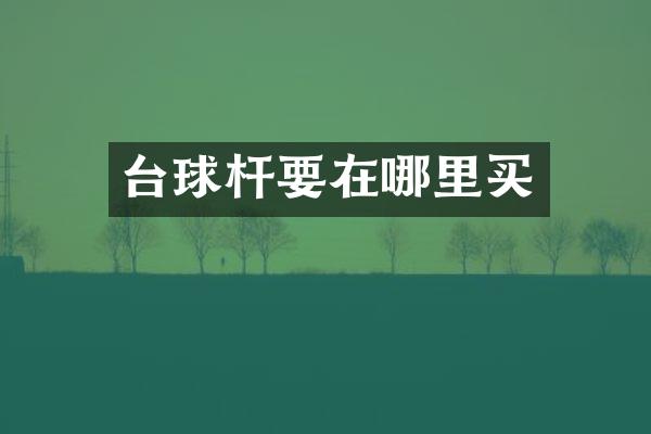 台球杆要在哪里买