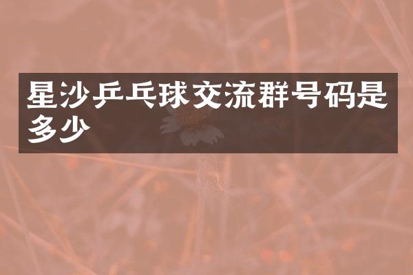 星沙乒乓球交流群号码是多少