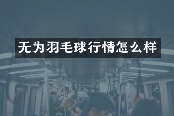 无为羽毛球行情怎么样