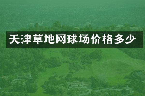 天津草地网球场价格多少