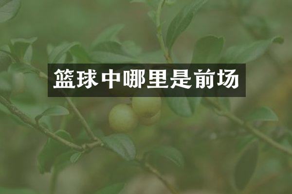 篮球中哪里是前场