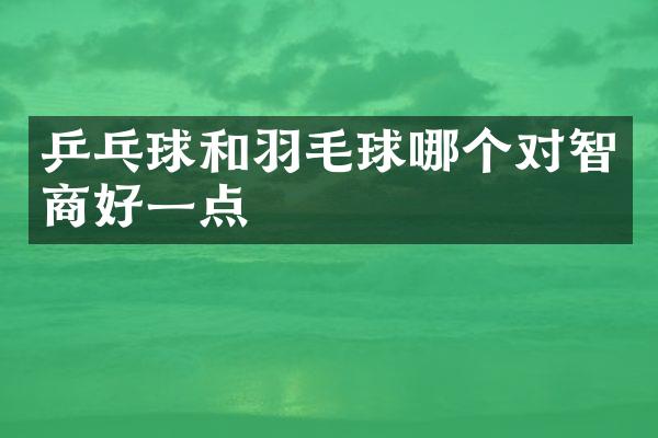 乒乓球和羽毛球哪个对智商好一点