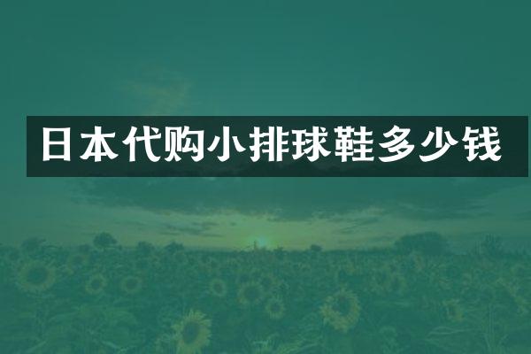 日本代购小排球鞋多少钱