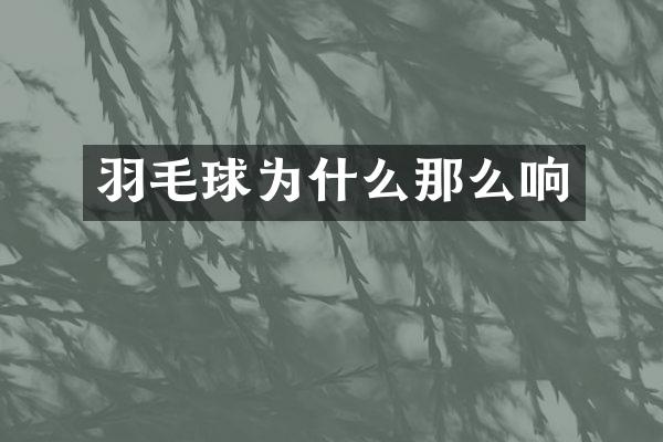 羽毛球为什么那么响