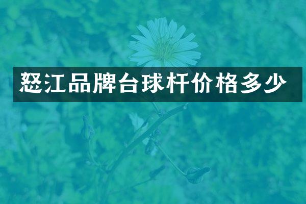 怒江品牌台球杆价格多少