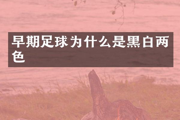 早期足球为什么是黑白两色