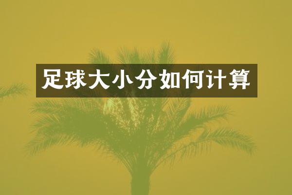 足球大小分如何计算