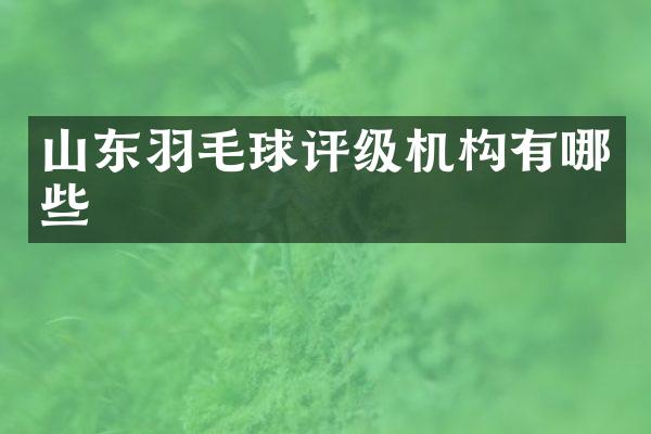 山东羽毛球评级机构有哪些