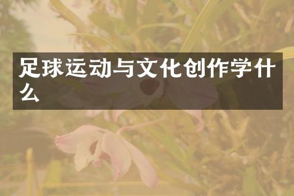 足球运动与文化创作学什么
