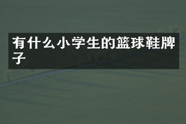 有什么小学生的篮球鞋牌子