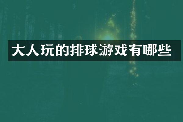 大人玩的排球游戏有哪些