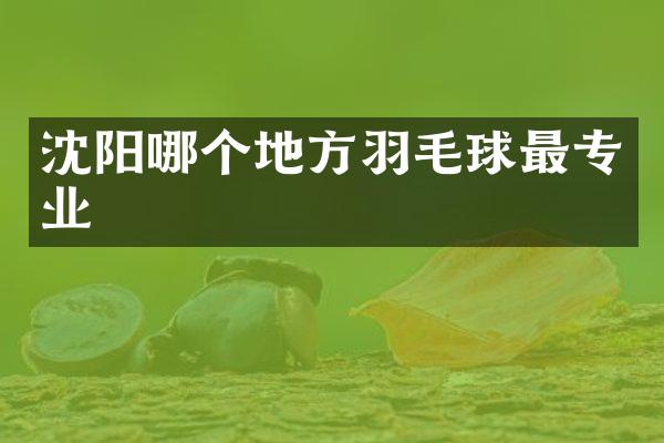 沈阳哪个地方羽毛球最专业
