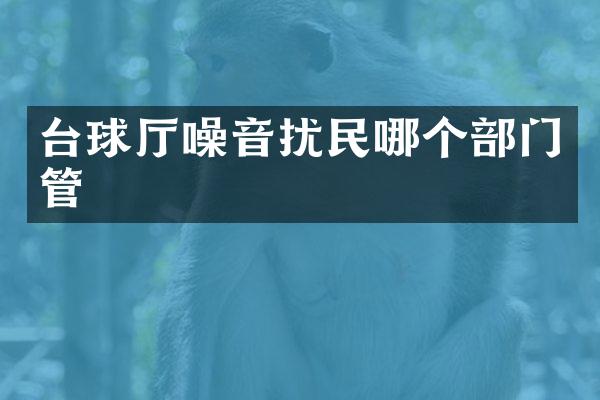 台球厅噪音扰民哪个部门管