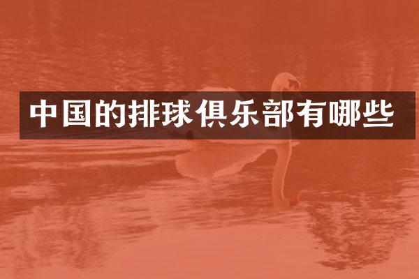 中国的排球俱乐部有哪些