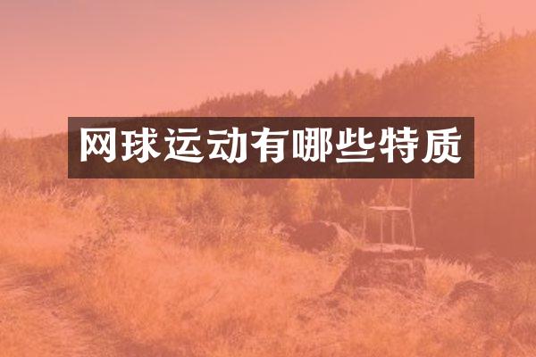 网球运动有哪些特质