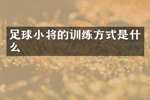 足球小将的训练方式是什么