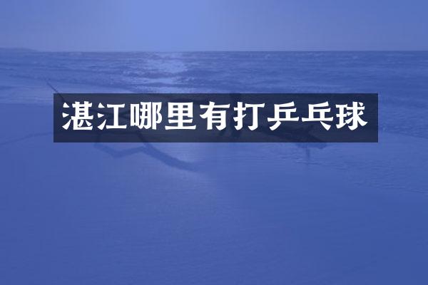 湛江哪里有打乒乓球