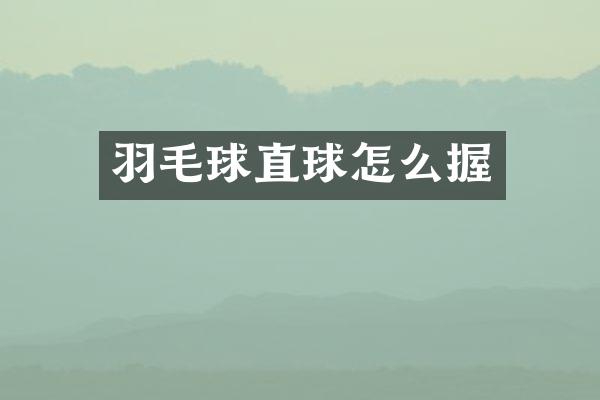 羽毛球直球怎么握