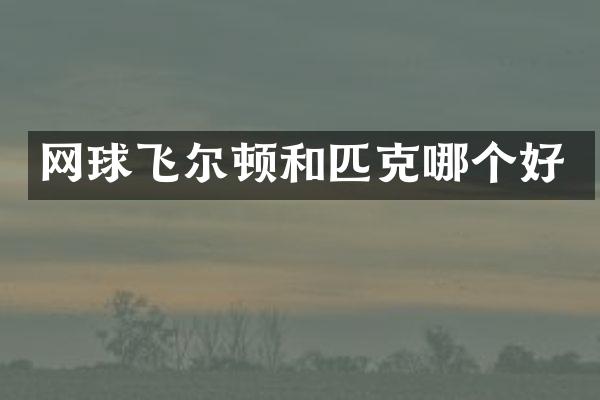 网球飞尔顿和匹克哪个好