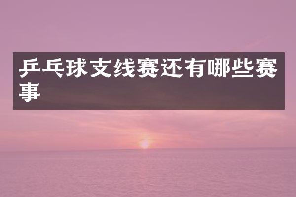 乒乓球支线赛还有哪些赛事