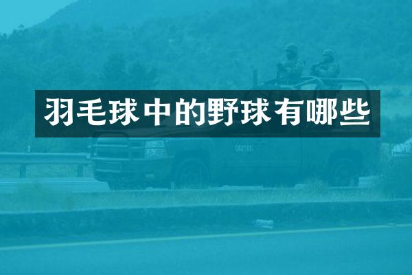 羽毛球中的野球有哪些