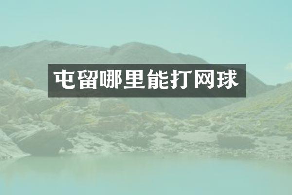 屯留哪里能打网球