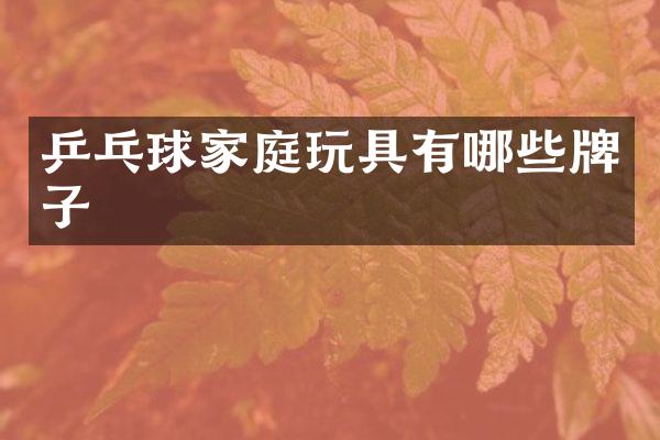 乒乓球家庭玩具有哪些牌子