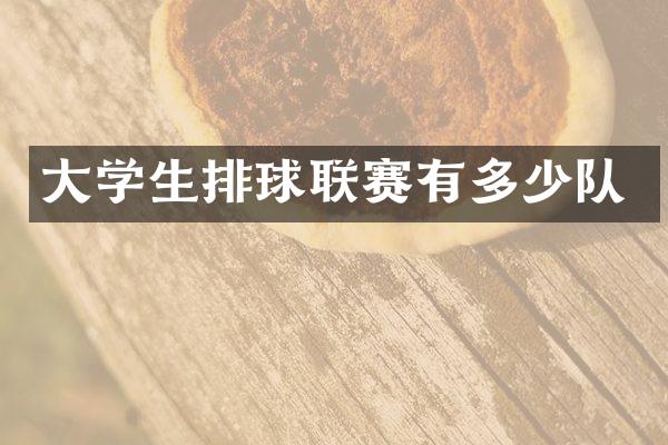 大学生排球联赛有多少队