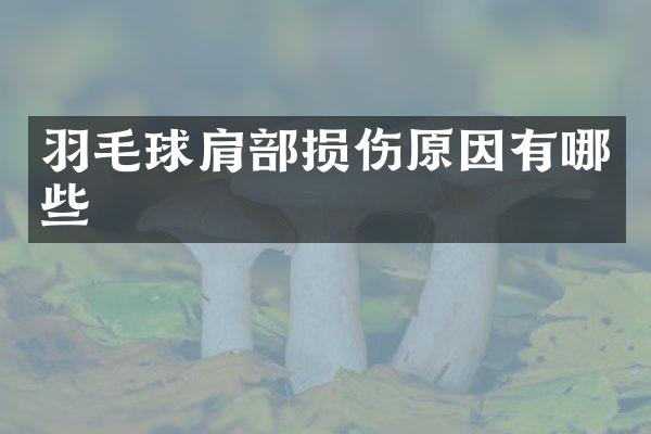 羽毛球肩部损伤原因有哪些
