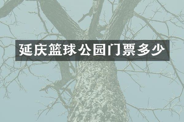 延庆篮球公园门票多少