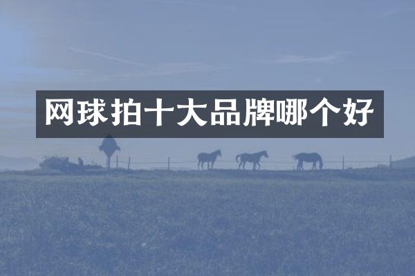 网球拍十大品牌哪个好