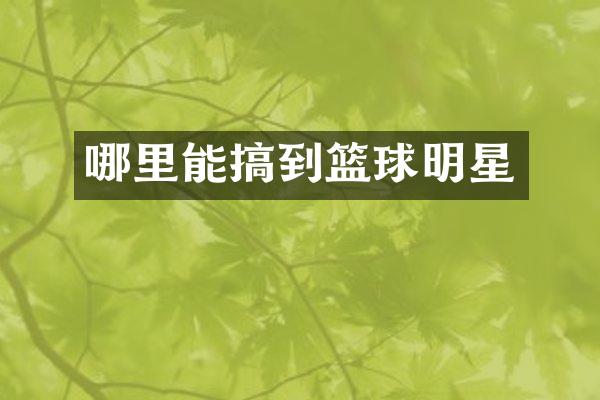 哪里能搞到篮球明星