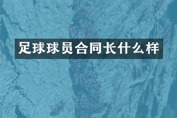 足球球员合同长什么样
